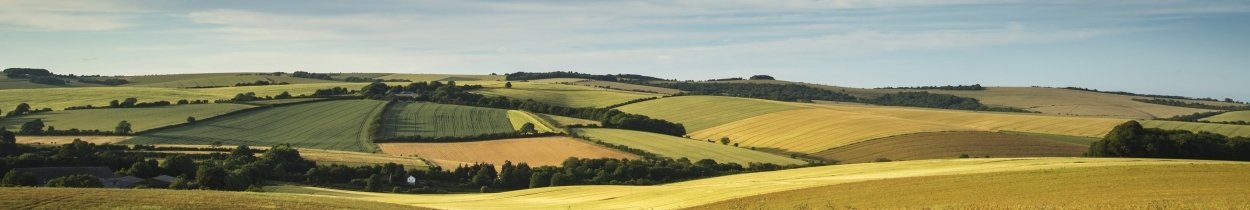 South Downs