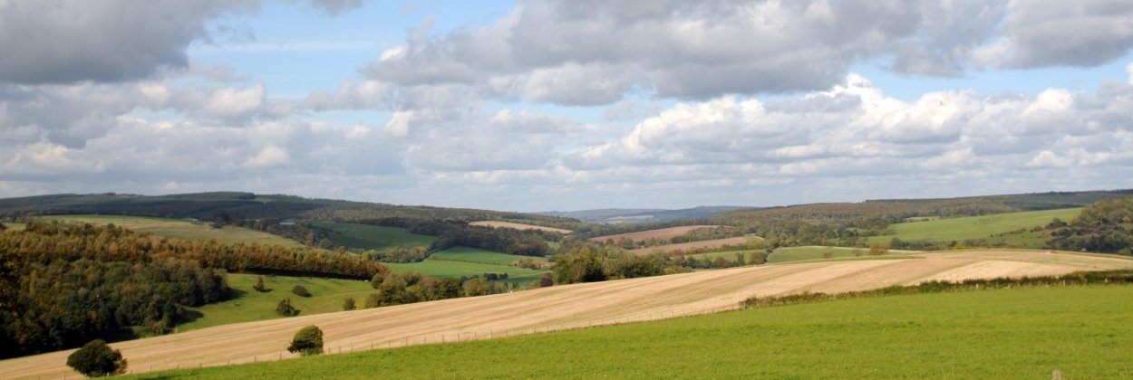 South Downs