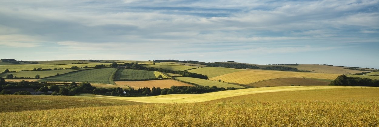 South Downs