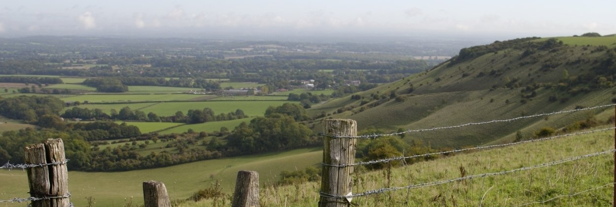 South Downs