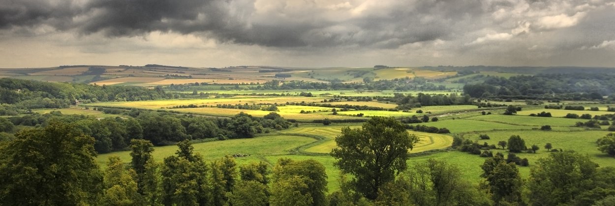 South Downs